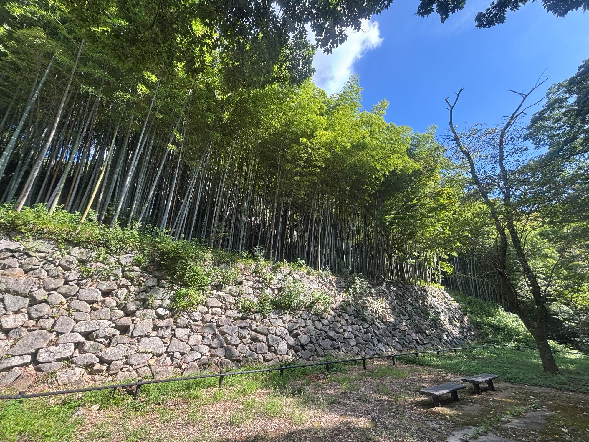 八幡公園の石垣