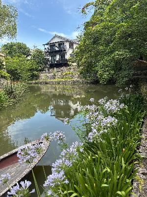 夏の八幡堀と花