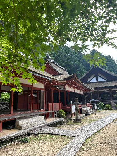 長命寺の庭