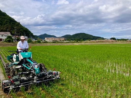 乗用型水田除草機