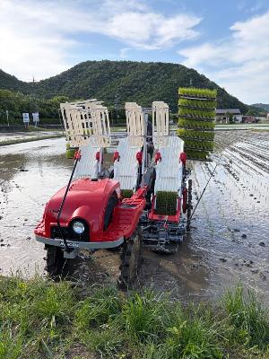 ポット成苗田植機