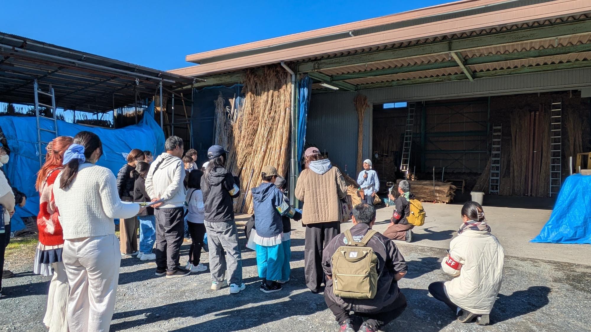 ヨシ葺き体験⓵