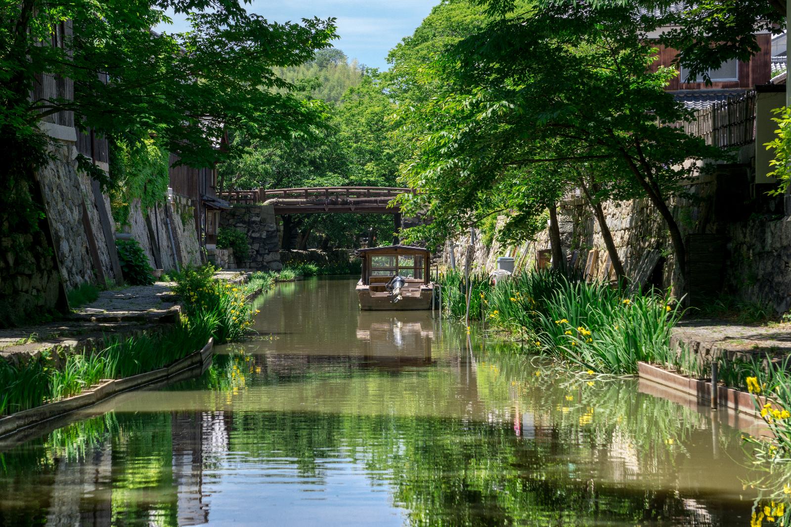 八幡堀の昼の景色