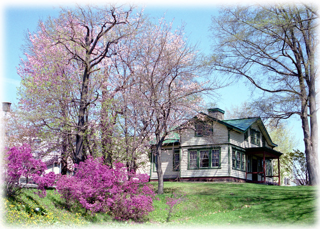 5月初旬の桜とピアソン記念館©ピアソン会