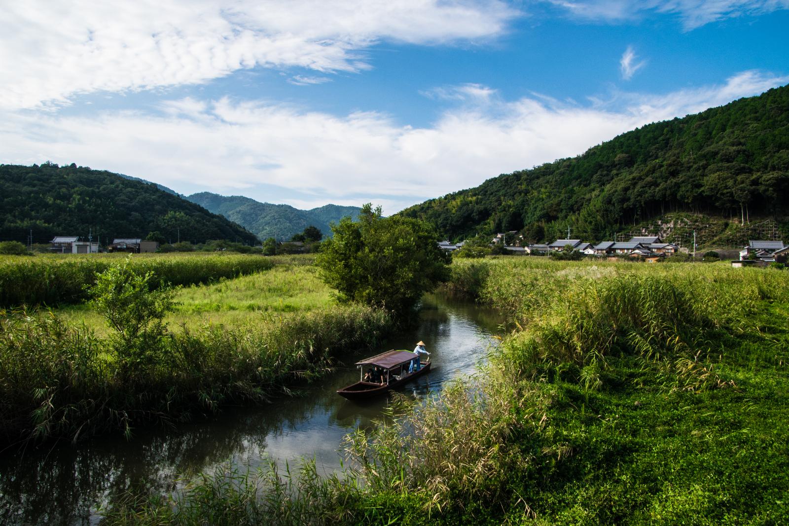 西の湖の水郷巡りの写真