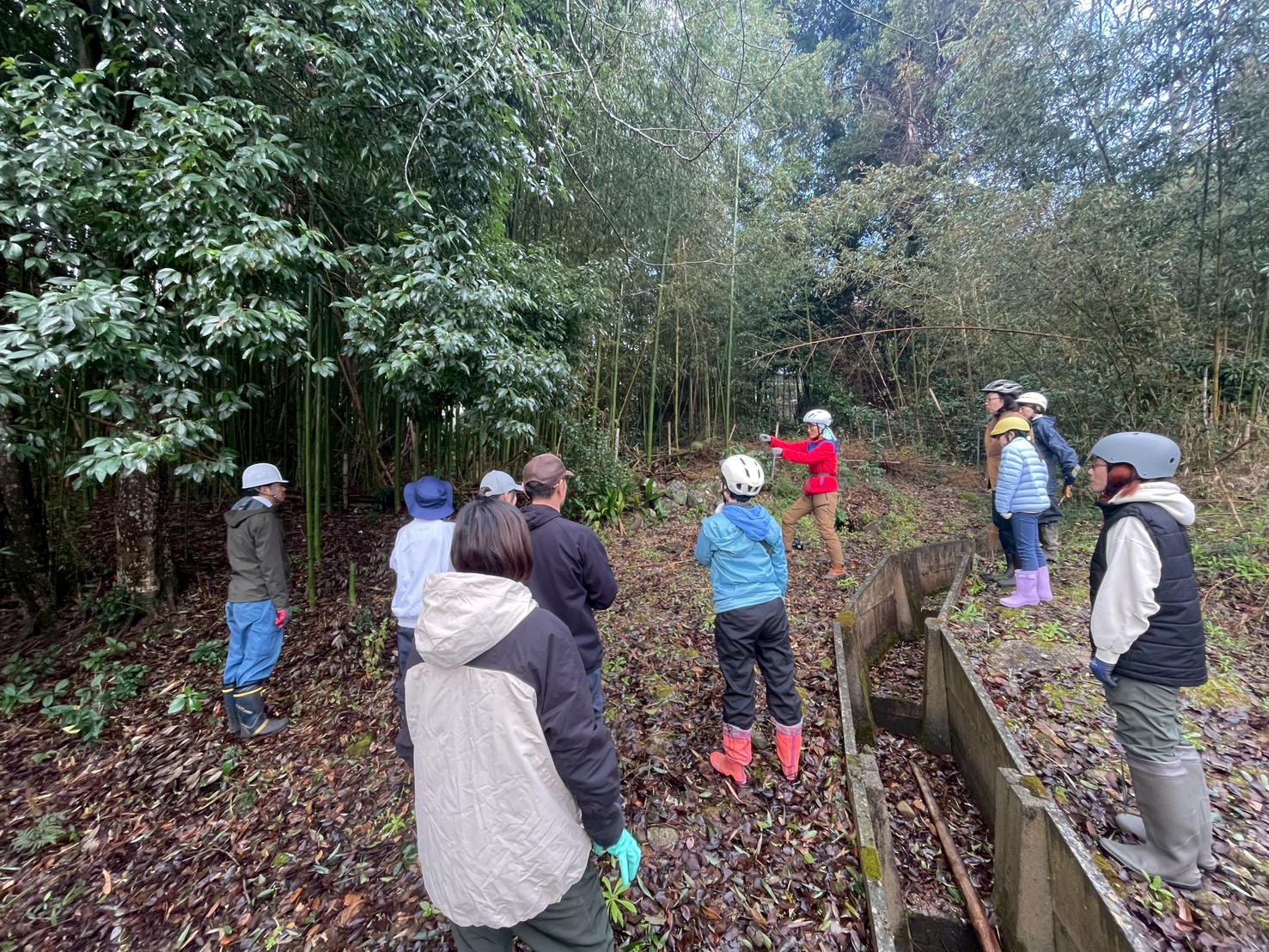 みんなで竹林に入り、伐採だけでなく良い竹を残す方法も学びました