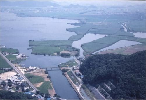 権座地区の島状の水田と彼方の緑まで見渡す、上空からの写真