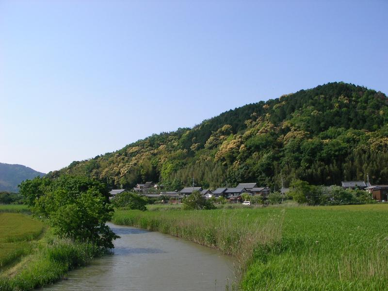 円山集落と水郷