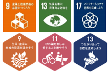 SDGsゴール9、13、17、MLGsゴール9、11、13