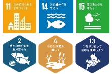 SDGsゴール11、14、15、MLGsゴール2、4、13