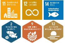 SDGsゴール11、12、14、MLGsゴール2、9、12