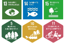 SDGsゴール13、14、15、MLGsゴール5、10、11