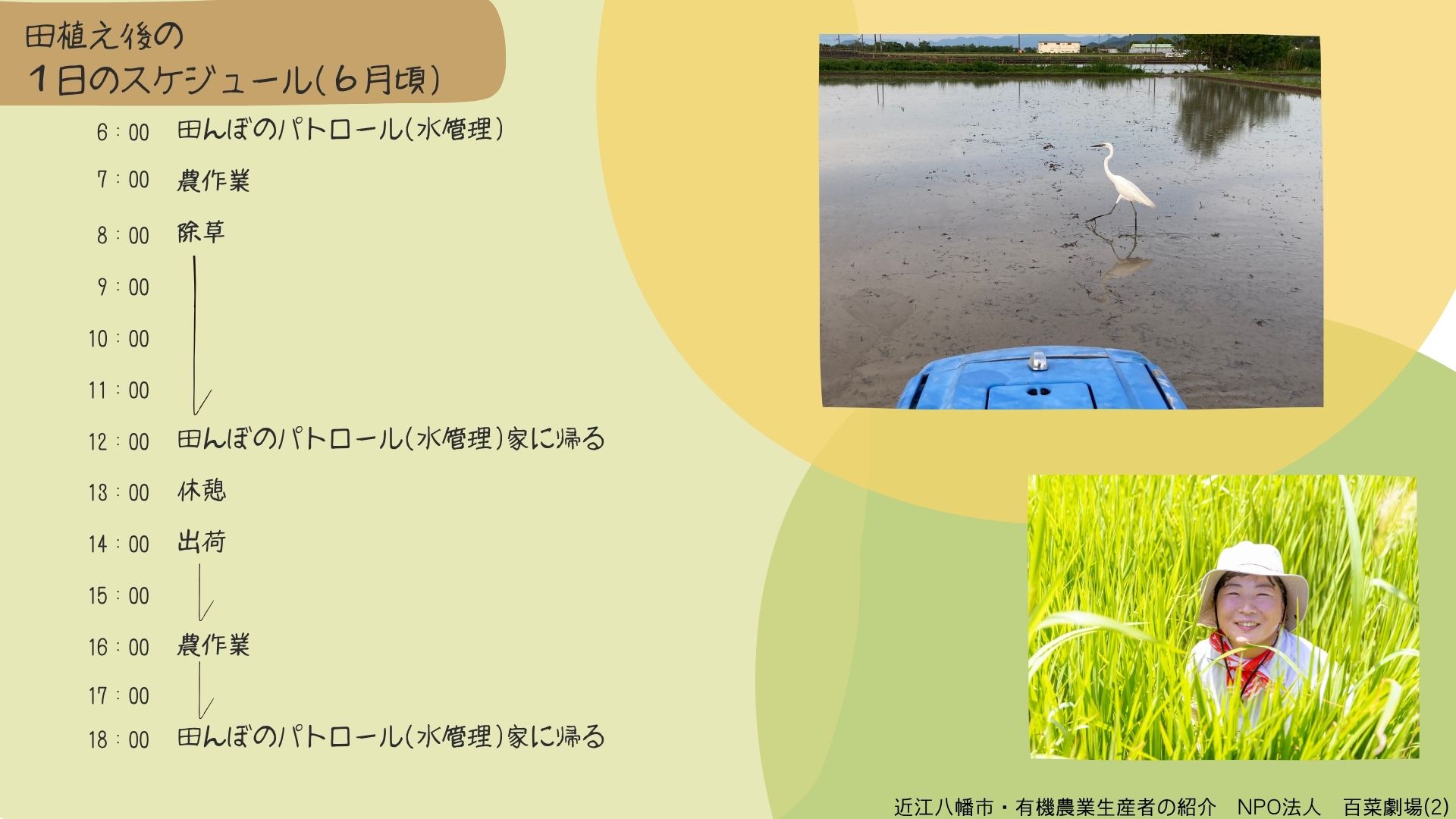 1日のスケジュール（田植え後）