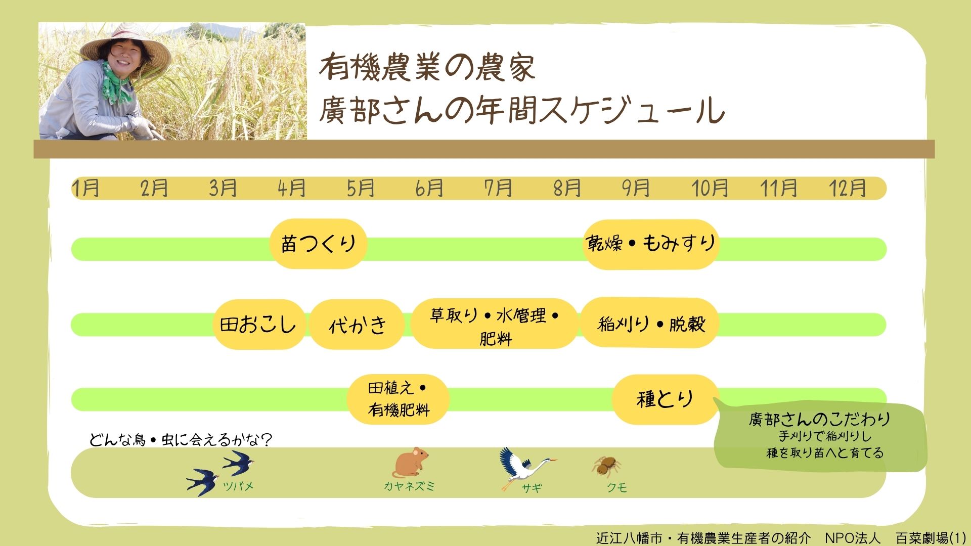 廣部さんの年間スケジュール