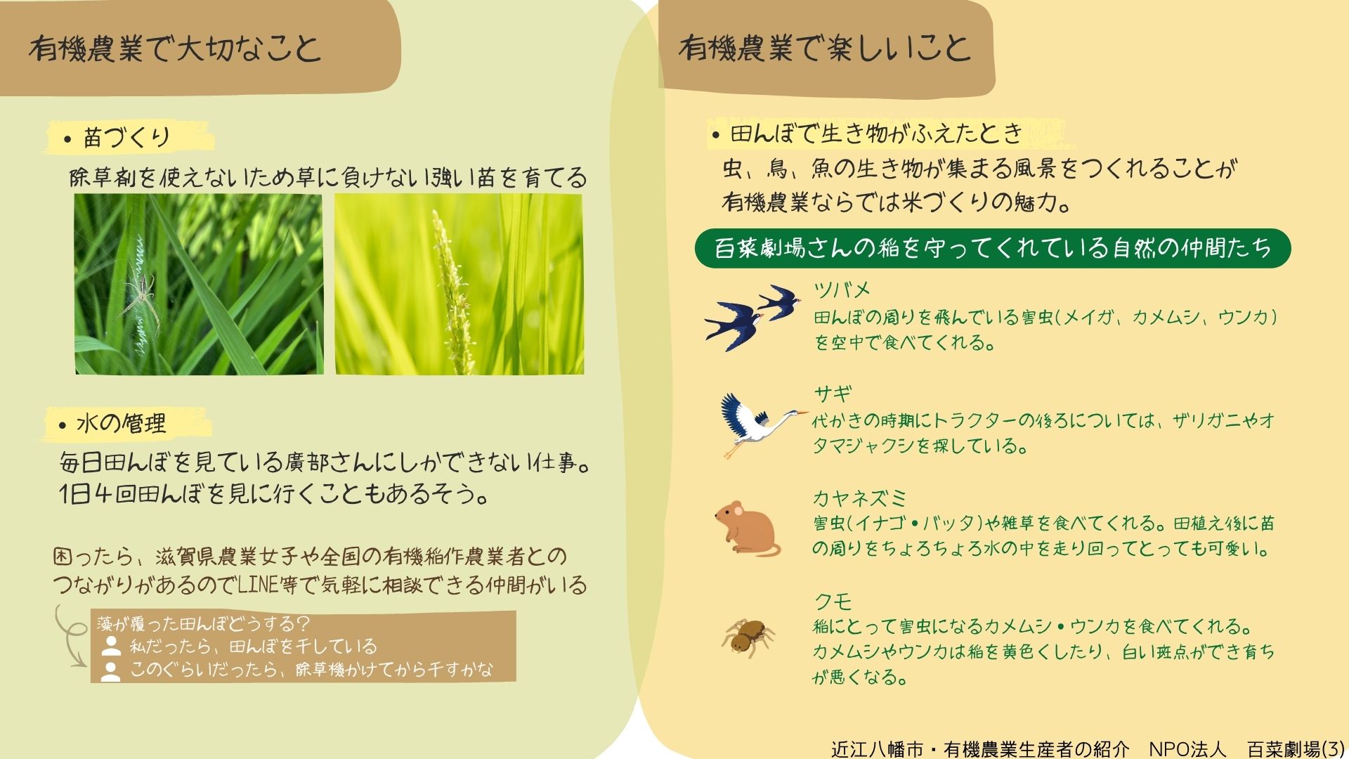 有機農業で大切なこと、楽しいこと