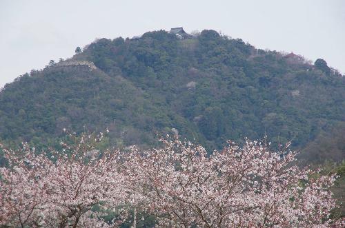八幡山城の石垣の見える化