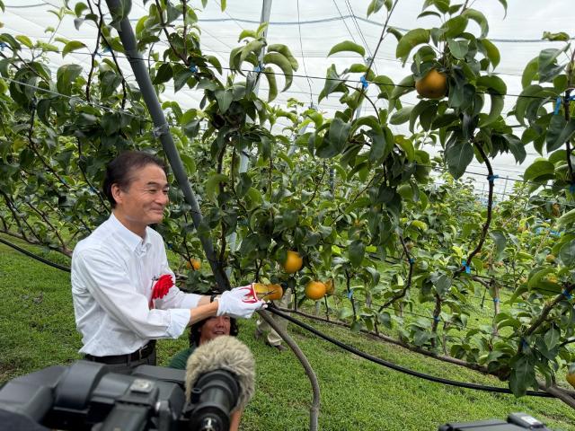 令和8年度果樹収穫祭に参加する徳永市長