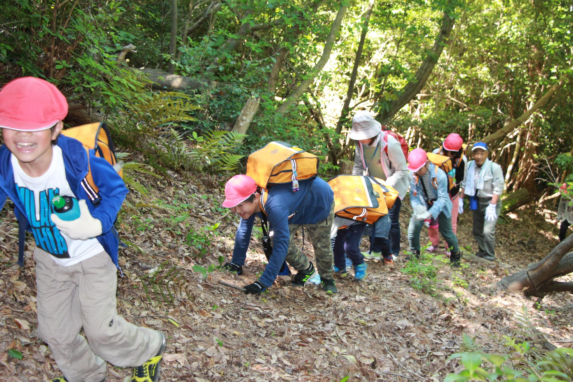 登山をしている小学生の写真