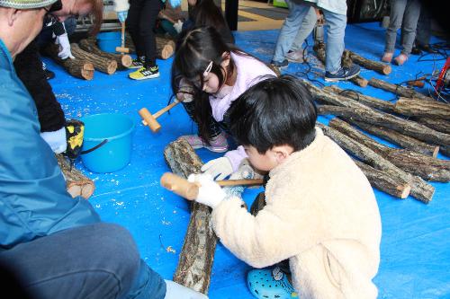 木づちでしいたけ菌を植え付ける子どもたち