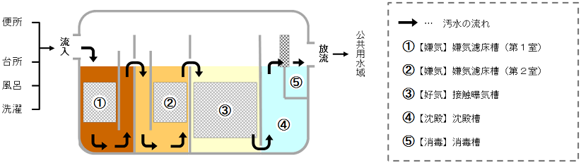 生活排水の流入から放出までの汚水の流れを表した浄化槽の構造のイラスト