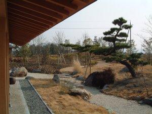 砂利の道と松の木が写っている和風庭園の写真