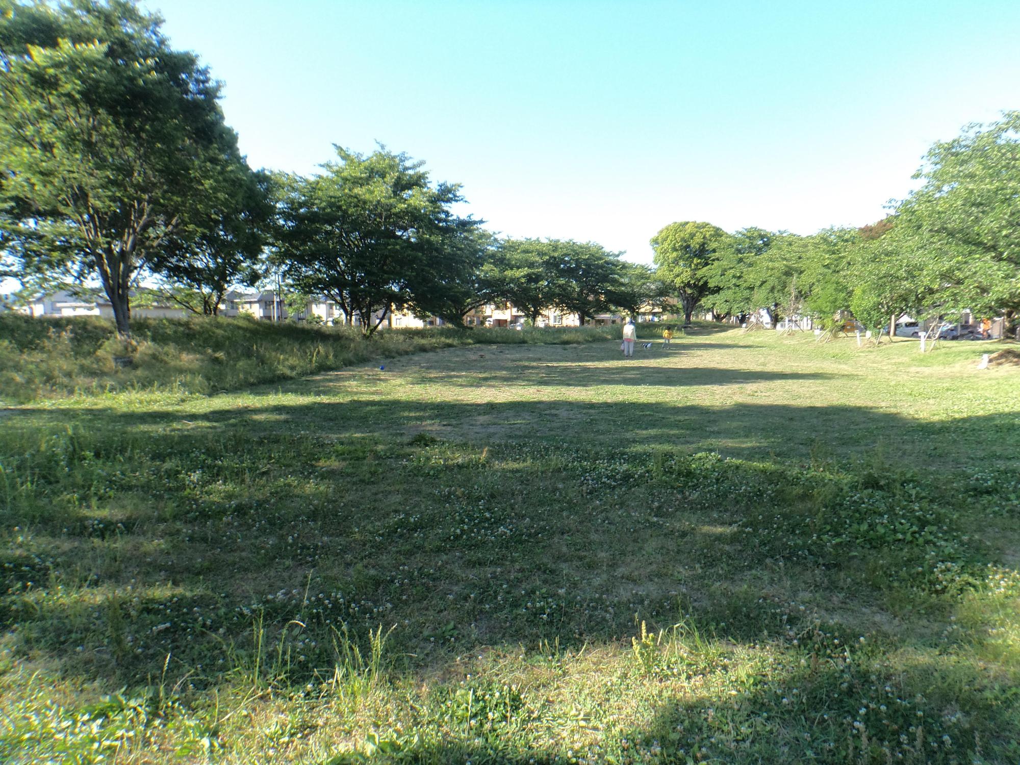 木に囲まれた緑の多い駅南第1児童公園の写真