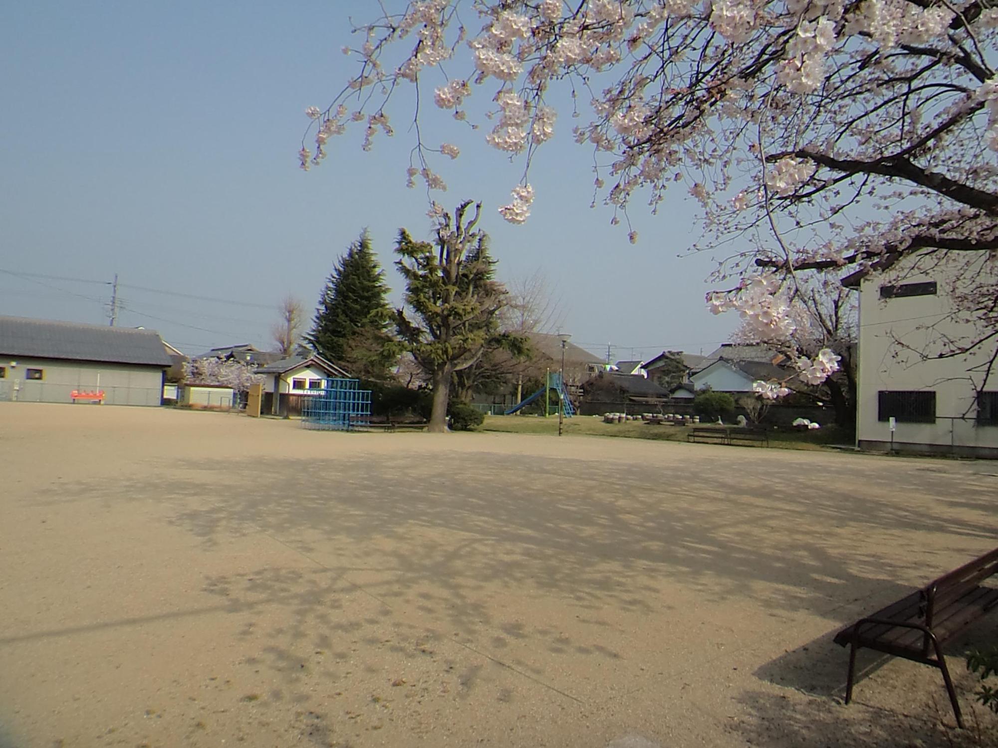 周りに桜の木・ベンチ・滑り台・ジャングルジムなどがあり、真ん中は広いスペースになっている八幡児童公園の写真