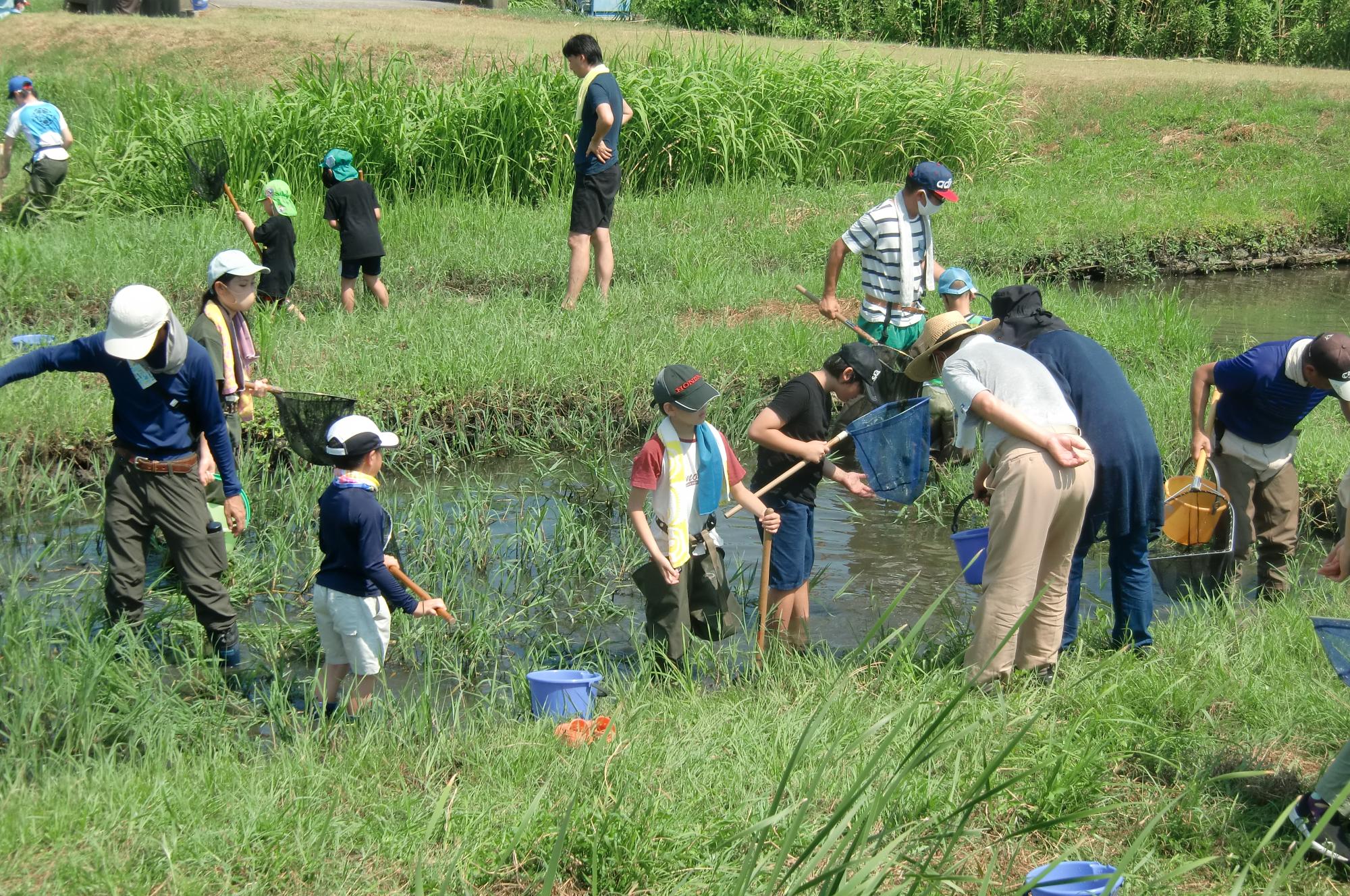 水質保全池での生き物観察会小中之湖地域環境保全会