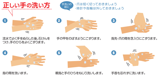 正しい手の洗い方 1流水でよく手をぬらしたあと、石鹸をつけ、てのひらをよくこすります。 2手の甲をのばすようにこすります。 3指先・爪の間を念入りにこすります。4指の間を洗います。5親指と手のひらをねじり洗いします。 6手首も忘れずに洗います。