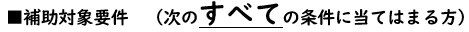 補助対象要件