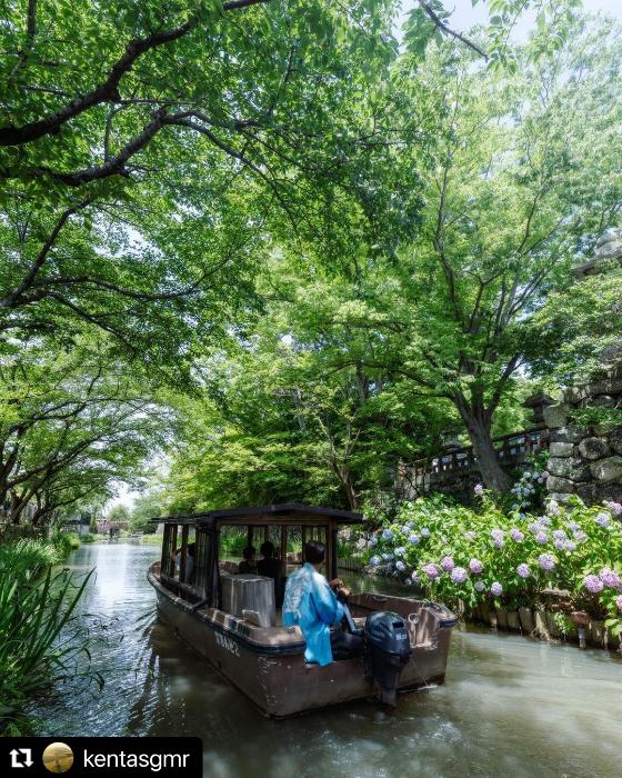 川岸に緑とたくさんの紫陽花が咲いている中を船が進む様子の写真